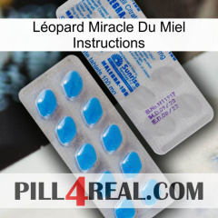 Léopard Miracle Du Miel Instructions new15